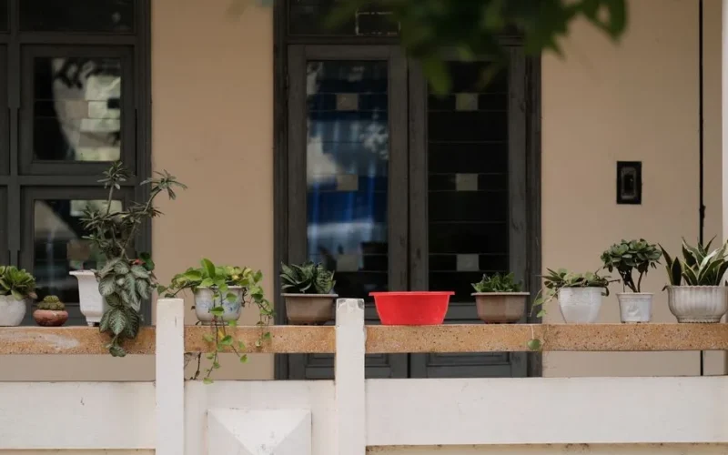 A peaceful balcony featuring a variety of potted plants and a red container, perfect for gardening enthusiasts.