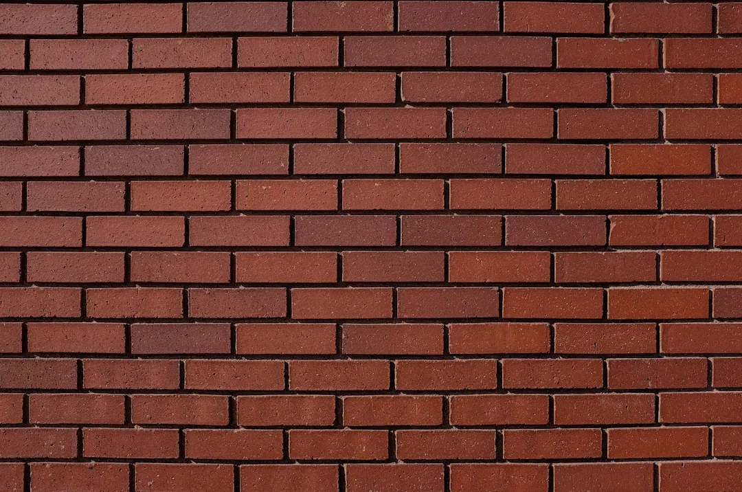 Dekoracje ścienne z korka: 7 pomysłów na naturalny i funkcjonalny wystrój