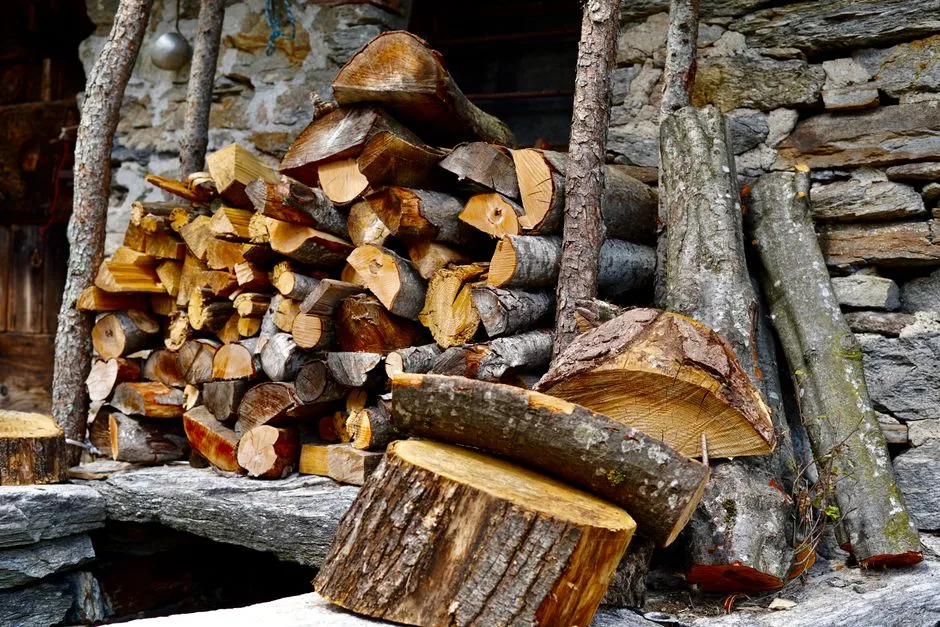 Inspiracje z natury: 5 sposobów na wykorzystanie kory, kamieni i piasku w domowych dekoracjach
