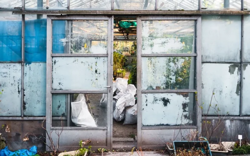 A rustic greenhouse entrance with an open sliding door revealing interior plants and repair material.