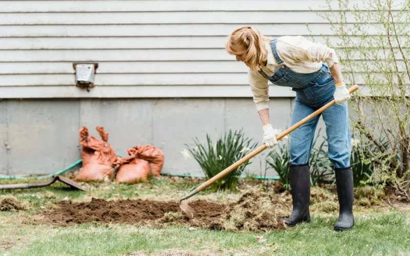 Woman in denim overalls working in the garden, tending soil with a hoe.