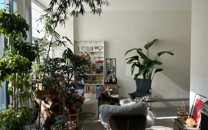 A well-lit indoor lounge adorned with various plants, creating a natural and cozy atmosphere.