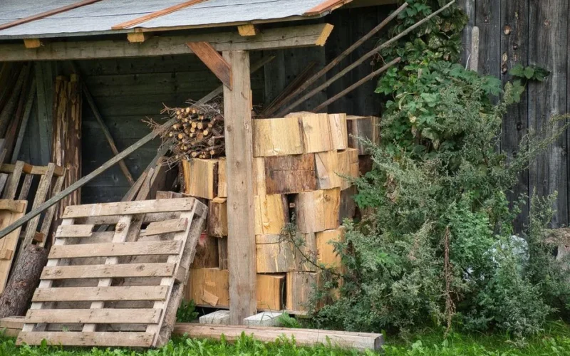 A rustic woodpile beside a wooden shed in a rural Trentino backyard setting, ideal for cozy countryside themes.