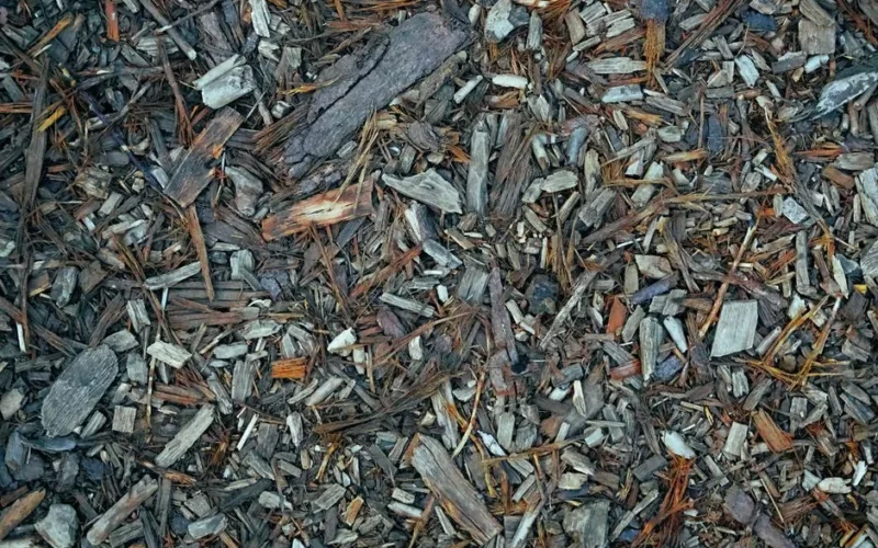 Close-up of wood chips on the ground with rich texture, natural mulch for gardens.