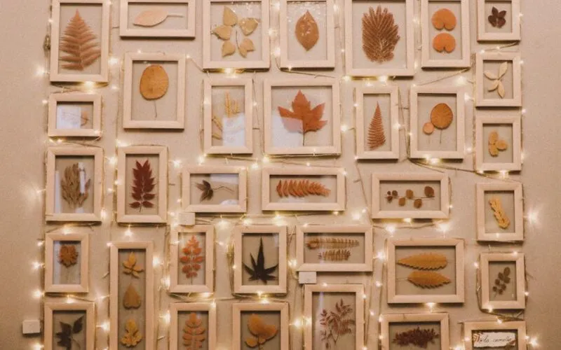 Jak stworzyć galerię ścienną w 5 krokach? Poradnik kompozycji i aranżacji