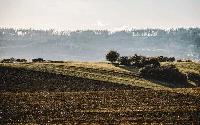 Slow Life na Wsi: 10 Powodów, Dla Których Warto Zwolnić w Otoczeniu Natury