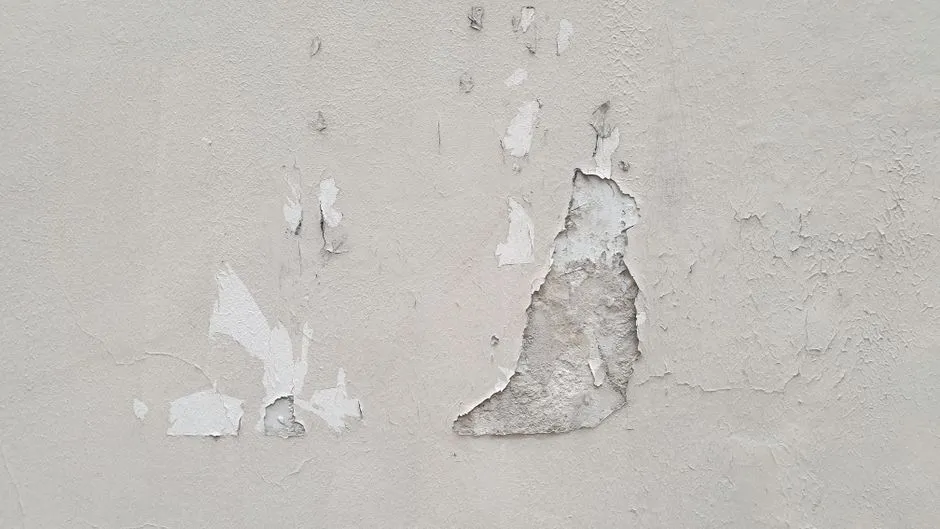 Jak ściągnąć farbę lateksową ze ściany? 5 Sprawdzonych Metod Bez Uszkodzeń