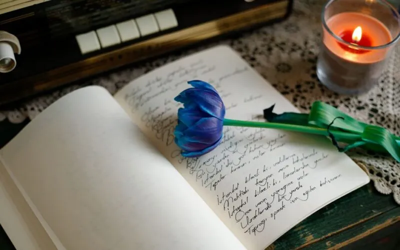 Jak Wybrać Idealny Dziennik do Wdzięczności i Planowania w Stylu Slow Life? Poradnik dla Początkujących