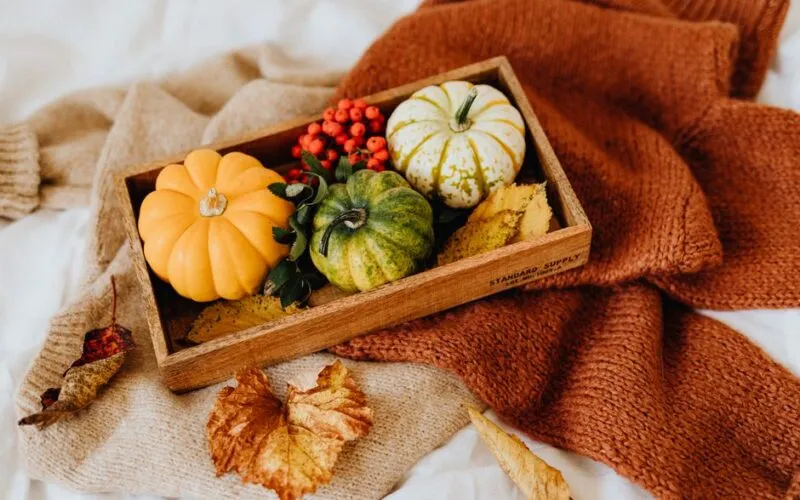 Jak udekorować dom na Halloween bez straszenia? 10 stylowych inspiracji na jesienną aranżację