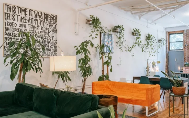 Room interior with cozy sofas on floor and potted creeping plants on wall in house