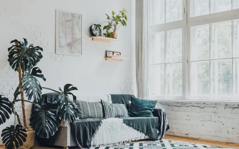 Bright and modern living room featuring monstera plants and cozy decor.