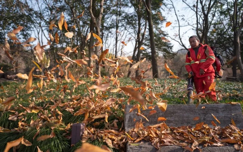 A worker clearing autumn leaves with a blower in a scenic park during fall.