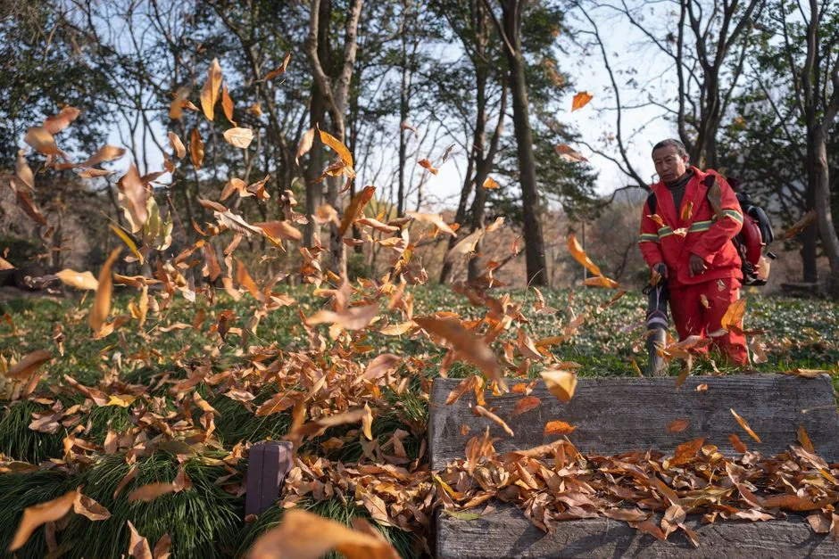 Jak Przygotować Ogród na Zimę - 7 Niezbędnych Kroków