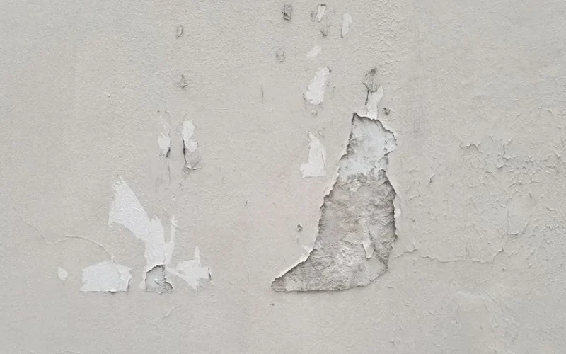 Detailed view of peeling paint on a concrete wall, showing decay and texture.