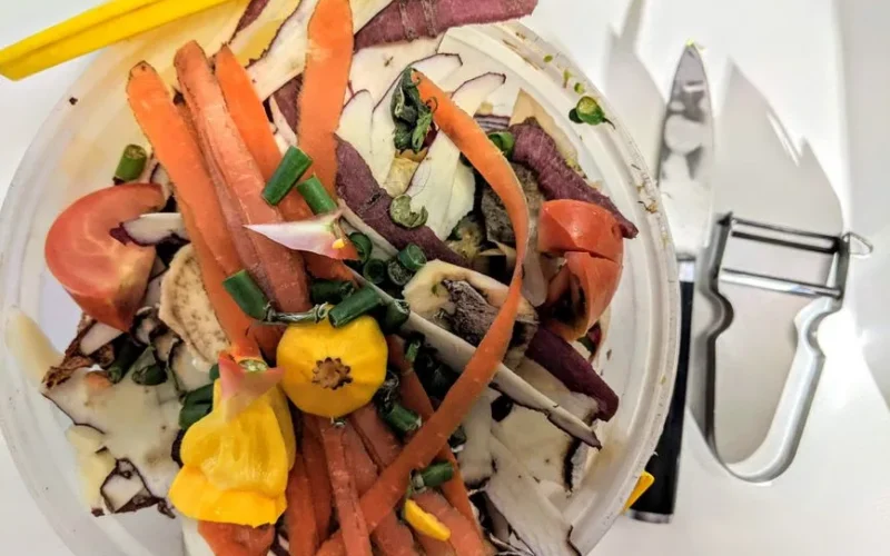 A vibrant pile of vegetable peels for composting, promoting sustainable living.